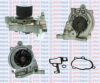 AQUAPLUS 85-5815 Water Pump